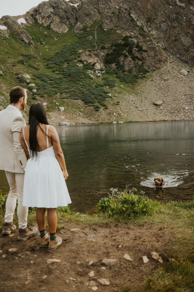 Dog swimming in an alpine lake towards a couple during their Colorado elopement